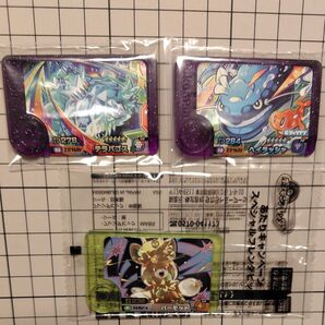 ポケモンフレンダ テラパゴス&ヘイラッシャ