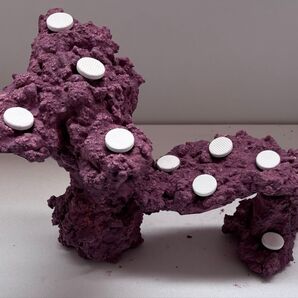 人工ライブロック ライブロック レプリカ レイアウト 擬岩 自作