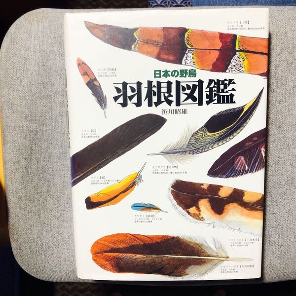 日本の野鳥羽根図鑑 笹川昭雄/著 初版