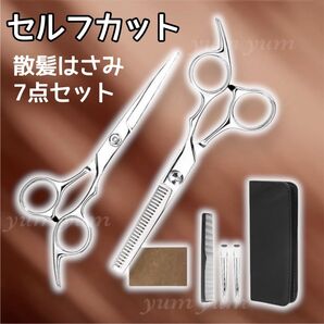 ヘアカット はさみ すきばさみ 散髪 セルフカット ハサミ 髪切り 散髪セット