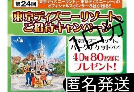 懸賞応募 東京ディズニーリゾートご招待キャンペーン タイアップ 地元スーパーキャンペーン 匿名 限定出品 送料込 クーポン◯