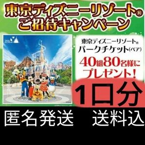 【ディズニーキャンペーン】懸賞応募★レシート応募 1口分 タイアップ 匿名