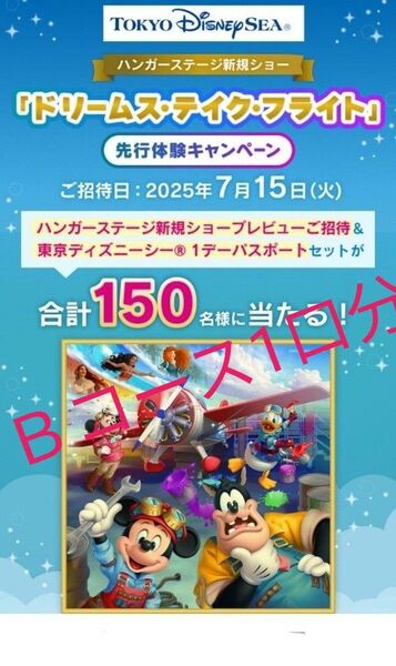 東京ディズニーシー「ハンガーステージ」「ドリームス・テイク・フライト」+東京ディズニーシー1デーパスポート Bコース1口分