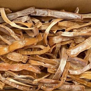 『ゆず』様専用 500g×3セット 天草産 干たけのこ 乾燥 500グラム 送料込み ゆうパックで発送