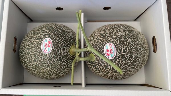 ② 熊本県産 肥後グリーン 2玉入 規格外 キズあり 送料込み 箱込みで4kg以上 箱は簡易箱で発送