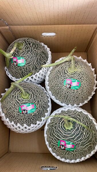 ④ 肥後グリーン メロン 熊本県産 4玉入 箱込みで約5kg 箱は簡易箱で発送 送料込み