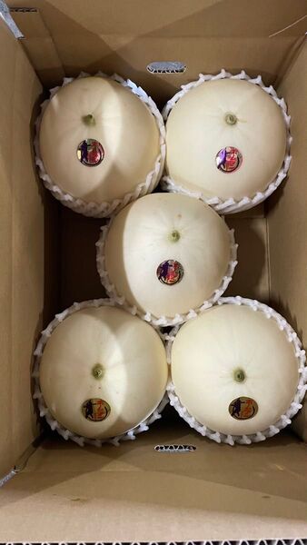 ⑤ ホームランメロン 激旨 4〜5玉入 熊本県産 送料込み 箱は簡易箱で発送 限定3セット