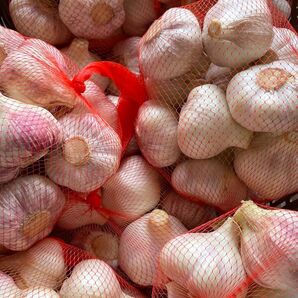 ⑤ にんにく 天草産 大蒜 まとめて 箱込み5kg以上 キズあり 送料込み 箱は簡易箱で発送 大量入荷