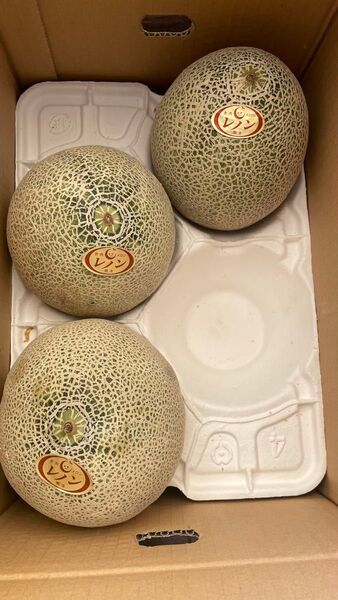 ④ レノン 赤肉メロン 熊本県産 3玉入 糖度16度 箱込みで4.5kg以上 箱は専用箱で発送 数量限定1セット