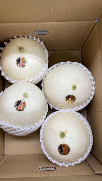 ④ ホームランメロン 激旨 4玉入 熊本県産 送料込み 箱は簡易箱で発送 限定3セット