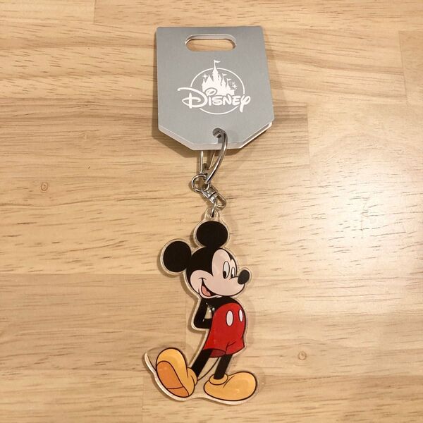 ディズニー キーホルダー TDL ディズニーストア アクリルキーチェーン
