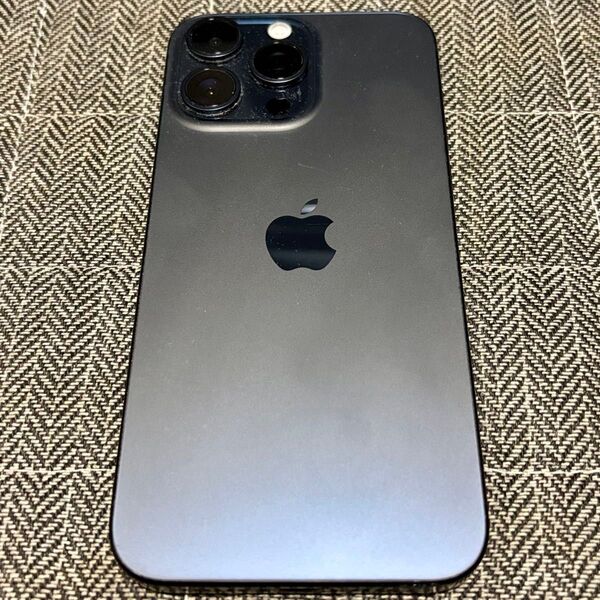 iPhone 15 Pro Max 256GB ブルーチタニウム