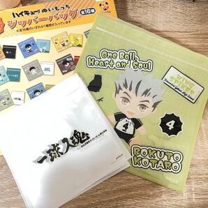 ハイキュー!! ぬいもっち ジッパーバッグ フリューくじ 木兎光太郎