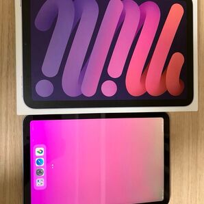 【超美品】iPad mini 6 WiFiモデル 64GB 最大容量100%
