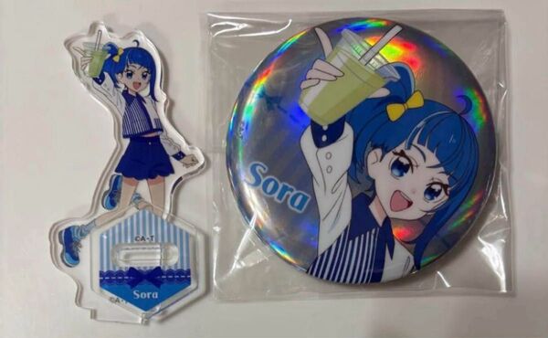 キュアスカイ ソラ・ハレワタール ソラ ハレワタール ひろがるスカイ!プリキュア Loppi アクリルスタンド オーロラ缶バッジ