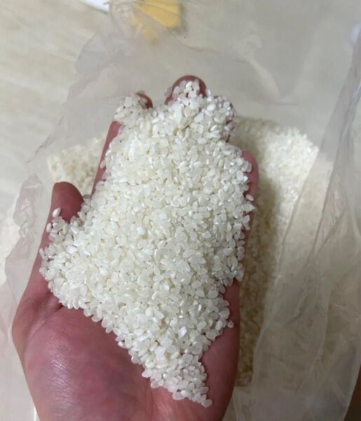 富山県産 令和6年 業務用米 20キロ