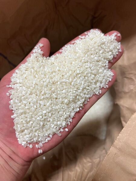 富山県産 コシヒカリブレンド中粒 精米 27Kg