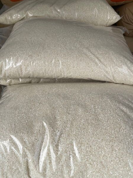 富山県産 令和6年 業務用米中粒20キロ