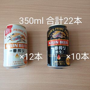 キリン 一番搾り 生ビール 350ml×12本 黒生 350ml×10本 合計22本