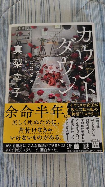 カウントダウン (宝島社文庫 Cま-3-1) 真梨幸子/著