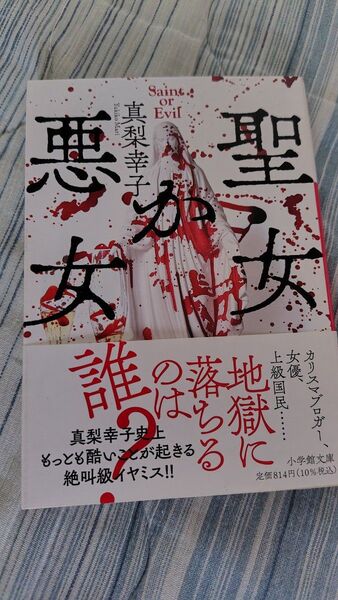 聖女か悪女 (小学館文庫 ま21-3) 真梨幸子/著