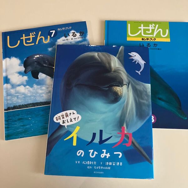 イルカのひみつ しぜん キンダーブック イルカ好き シャチ 海の生き物 本 図鑑 3冊セット 絵本 魚 シャチ