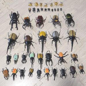 カブトムシ クワガタ フィギュア ガチャガチャ 昆虫 ヘラクレス