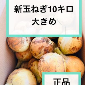 新たまねぎ10キロ 産地直送