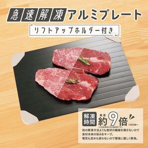 便利グッズ 急速解凍アルミプレート リフトアップホルダー付き QK-01