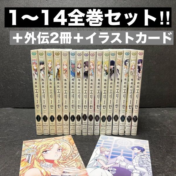 外科医エリーゼ全巻セット(1巻〜14巻)+外伝上下yuin / mini