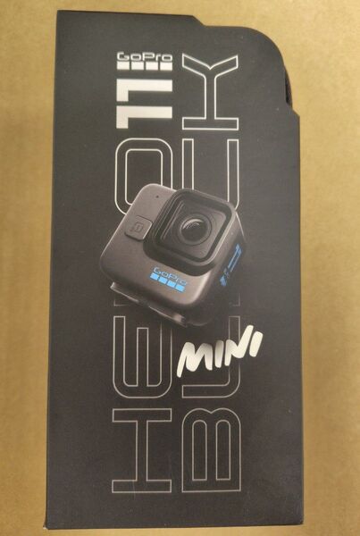 新品 CHDHF-111-FW GoPro HERO11 Black Mini