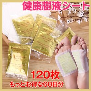 足裏樹液シート(120枚60日分)むくみ 疲れ 健康樹液シート ムクマネーゼDX