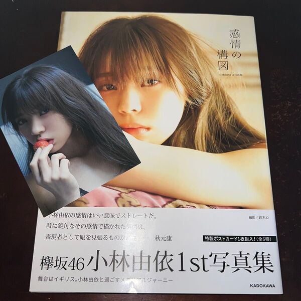 感情の構図 小林由依 初版 帯付き ポストカード付き/著 鈴木心/撮影