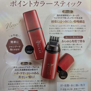 ヘアボーテ エクラ ポイントカラースティック ヘアカラー 白髪隠し 1本