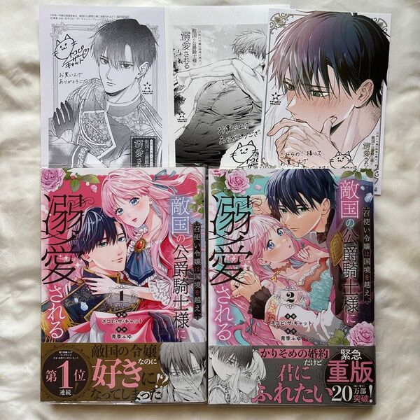 召使い令嬢は国境を越え、敵国の公爵騎士様に溺愛される 漫画 1〜2巻