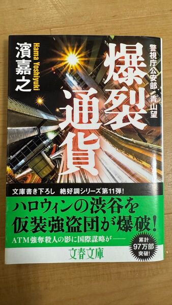 爆裂通貨 (文春文庫 は41-11 警視庁公安部・青山望) 濱嘉之/著