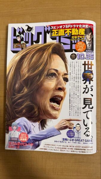 ビッグコミック 2024年10月25日号 (小学館)