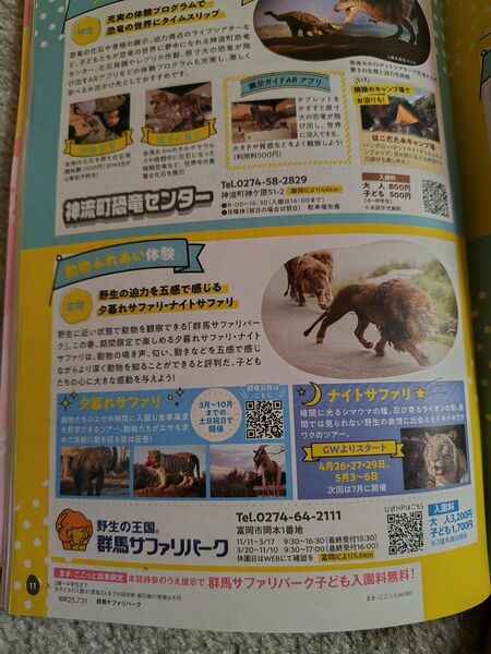 群馬サファリパーク 入園券