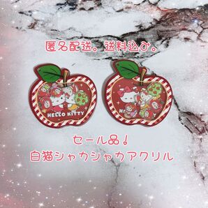 【サンリオ】キティちゃん シャカシャカ アクリルパーツ
