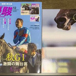 優駿 2023年12月号 リバティアイランド ポスター付き