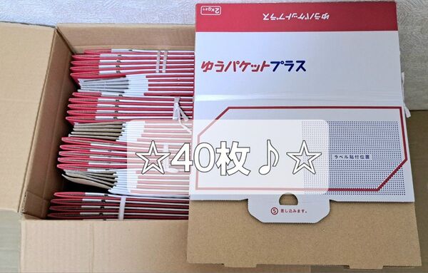 ☆ゆうパケットプラス 専用箱 40枚♪☆