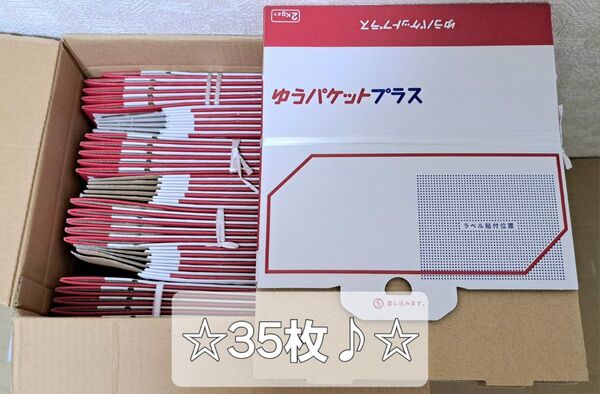 ☆ゆうパケットプラス専用箱 35枚♪☆