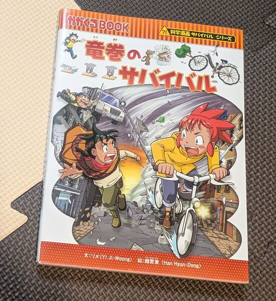 竜巻のサバイバル