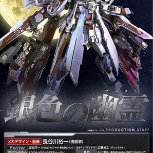 METAL BUILD クロスボーンガンダムX-0 フルクロス