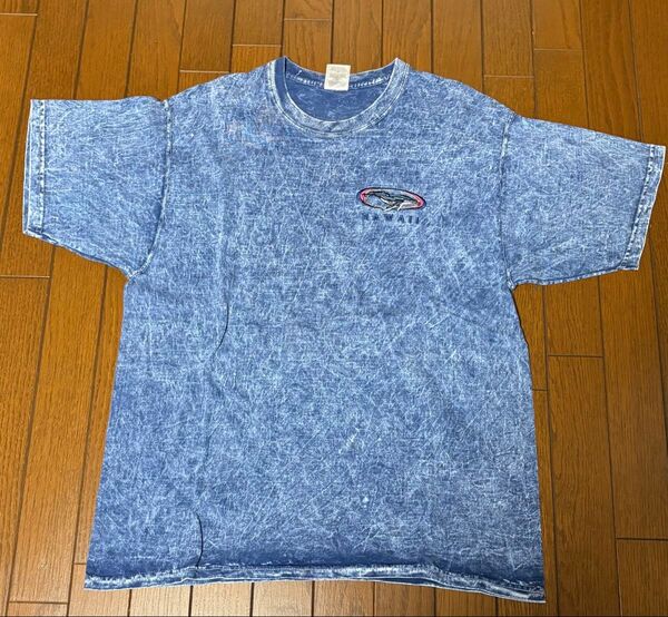 Hawaii ハワイアンTシャツ(フルーツオブザルーム)メンズLサイズ