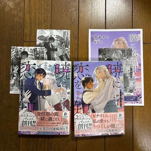 【新刊】bl小説 暁に恋を知れ 上下巻セット特典付き