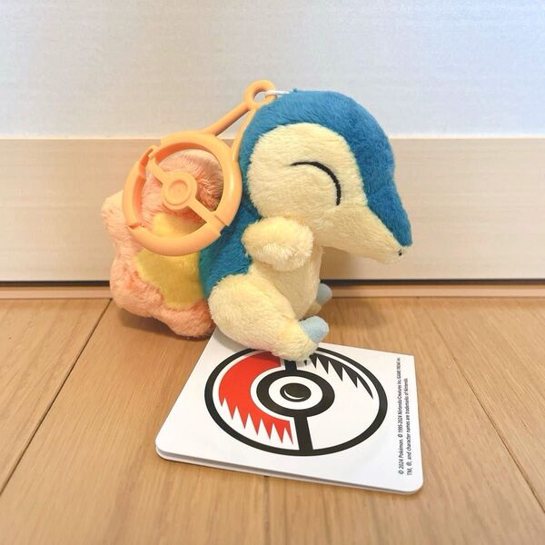 ポケモン カラビナ付きマスコット ヒノアラシ ぬいぐるみ ポケモンセンター