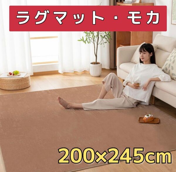 カーペット ラグマット 200×245cm 抗菌 防臭 防ダニ オールシーズン 床暖房 ホットカーペット対応 洗える モカ 絨毯
