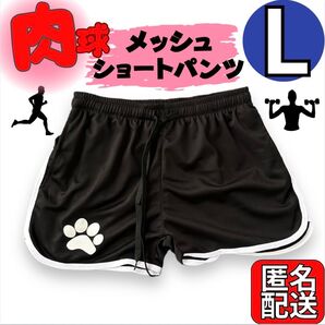 メンズ 下着 パンツ アンダーウェア 肌着 ボクサーパンツ メッシュ 熱中症対策 L ズボン 短パン ショートパンツ