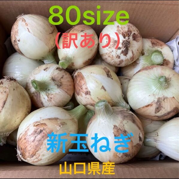 新玉ねぎ(訳あり)4kg